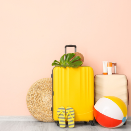luggage1